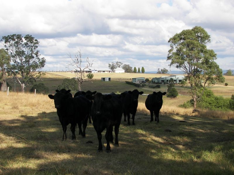LOT 9 Clintara Crescent, Razorback NSW 2571