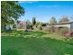 45 Harrington Street, Elderslie NSW 2570