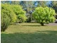 45 Harrington Street, Elderslie NSW 2570