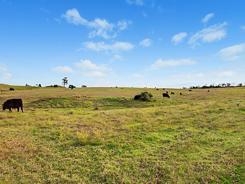 9 Yangtze Place, Kearns NSW 2558