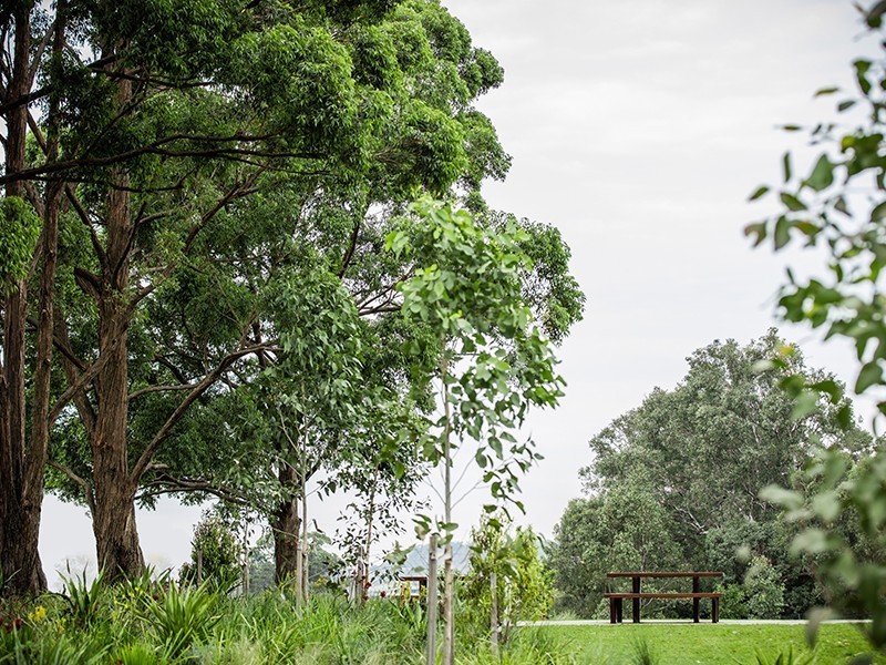 18 Ravenwood Street, Catherine Field NSW 2557