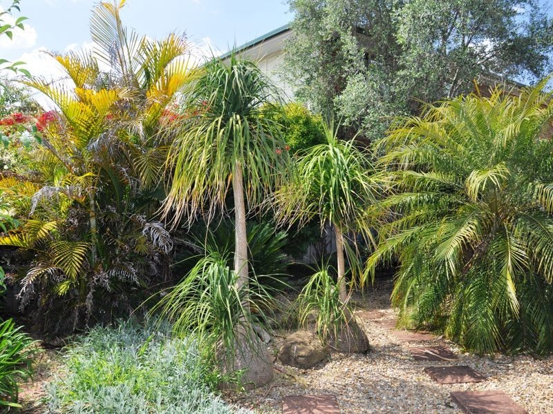 Mount Annan NSW 2567