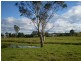 55 MARY STREET, The Oaks NSW 2570