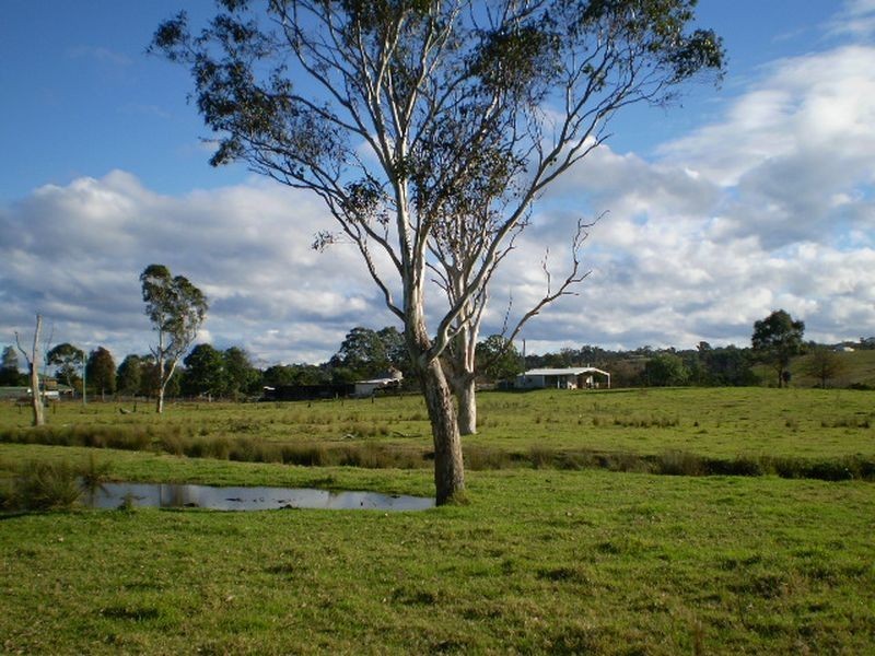 55 MARY STREET, The Oaks NSW 2570