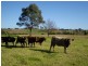 55 MARY STREET, The Oaks NSW 2570