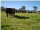 55 MARY STREET, The Oaks NSW 2570
