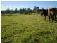 55 MARY STREET, The Oaks NSW 2570