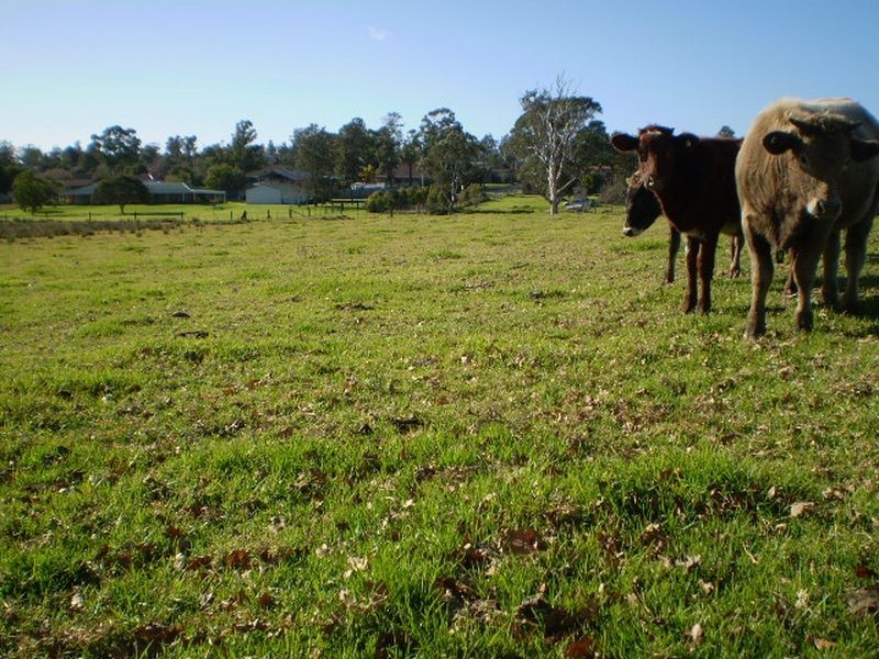 55 MARY STREET, The Oaks NSW 2570