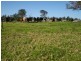 55 MARY STREET, The Oaks NSW 2570