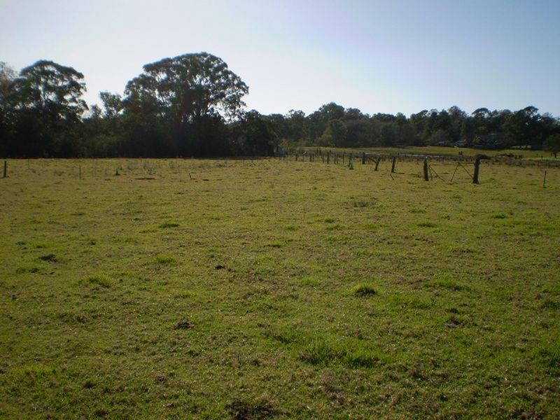 55 MARY STREET, The Oaks NSW 2570