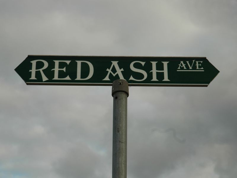 Mount Annan NSW 2567