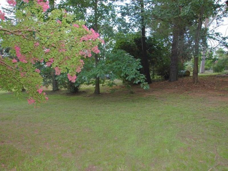 Ellis Lane NSW 2570