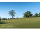 55 Silverwood Road, Brownlow Hill NSW 2570