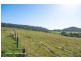 275 Finns Road, Menangle NSW 2568