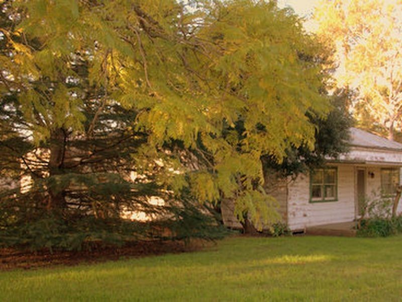 275 Cobbitty Road, Cobbitty NSW 2570