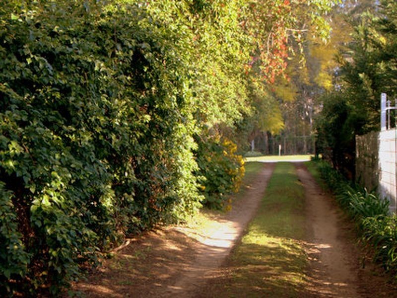 275 Cobbitty Road, Cobbitty NSW 2570