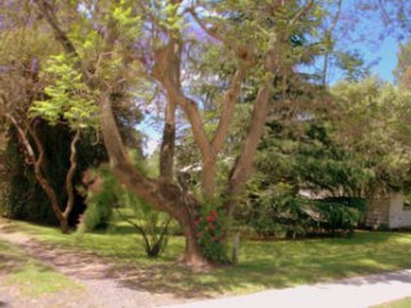 275 Cobbitty Road, Cobbitty NSW 2570