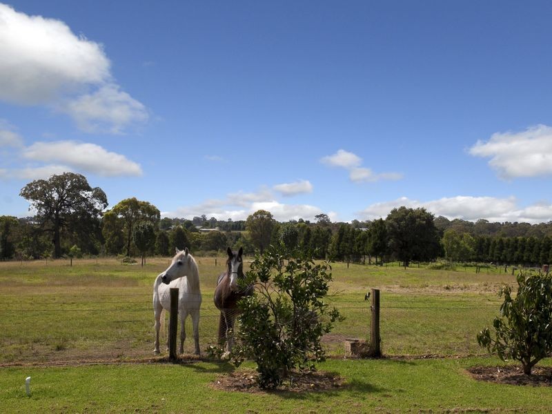 700 Silverdale Road, Werombi NSW 2570