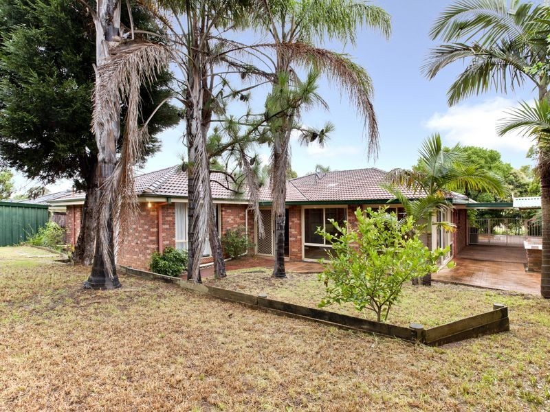 58 Holdsworth Drive, Narellan Vale NSW 2567