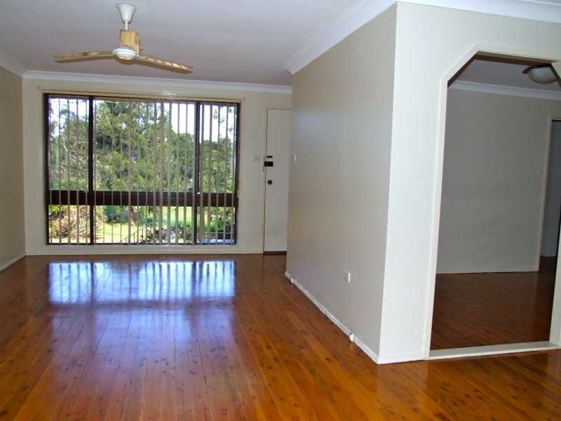 56 Chasselas Avenue, Eschol Park NSW 2558