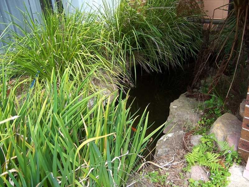 17 O’Hares Road, Wedderburn NSW 2560