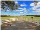 Alpine NSW 2575