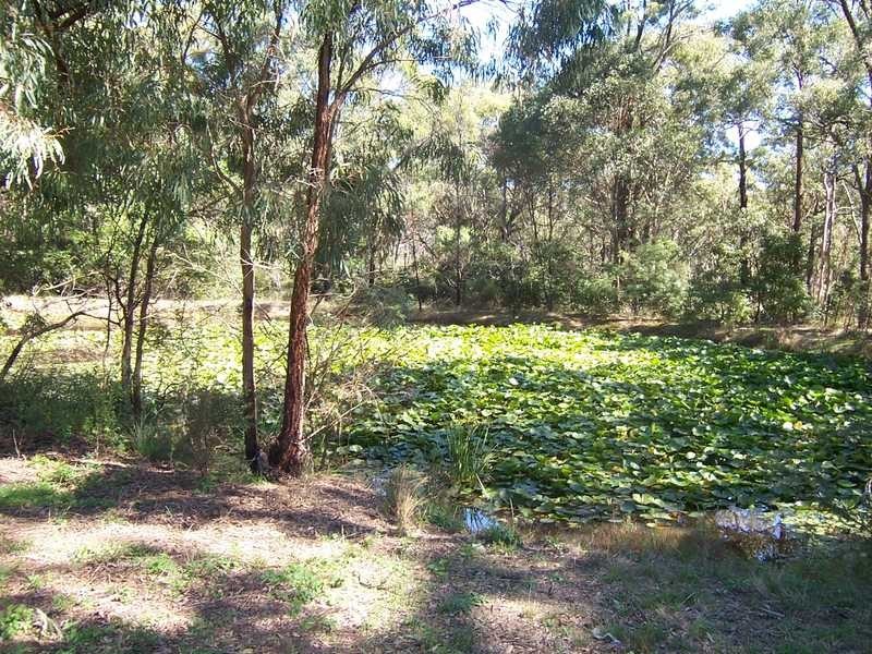 Wedderburn NSW 2560
