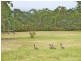 Wedderburn NSW 2560