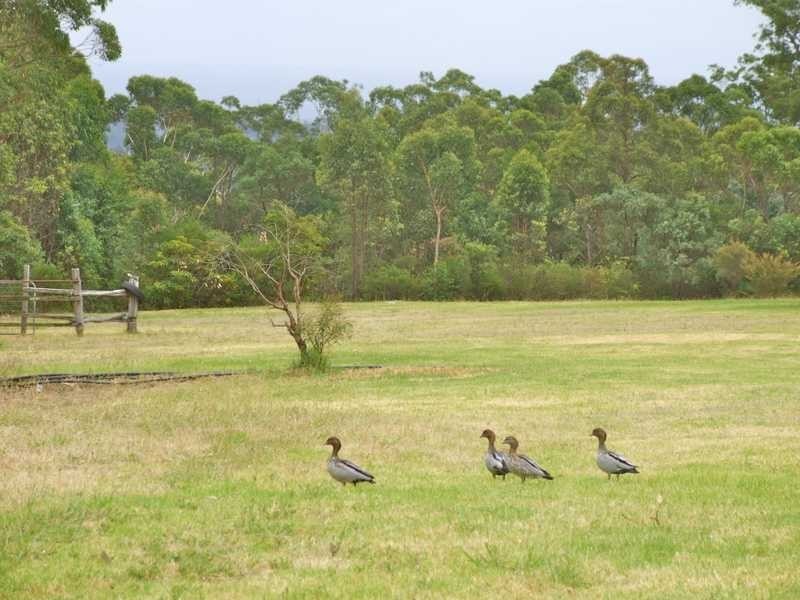 Wedderburn NSW 2560
