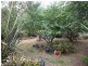 Wedderburn NSW 2560
