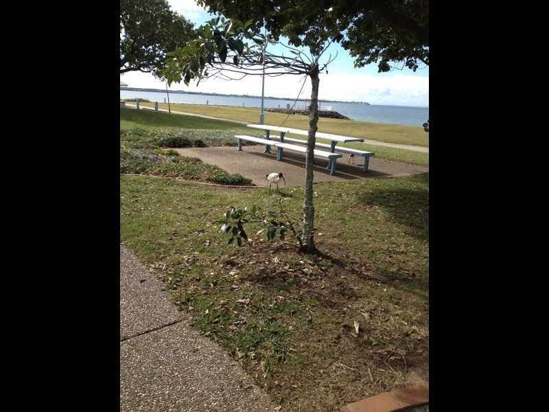 H9/536 BEACONSFIELD TCE, Brighton QLD 4017