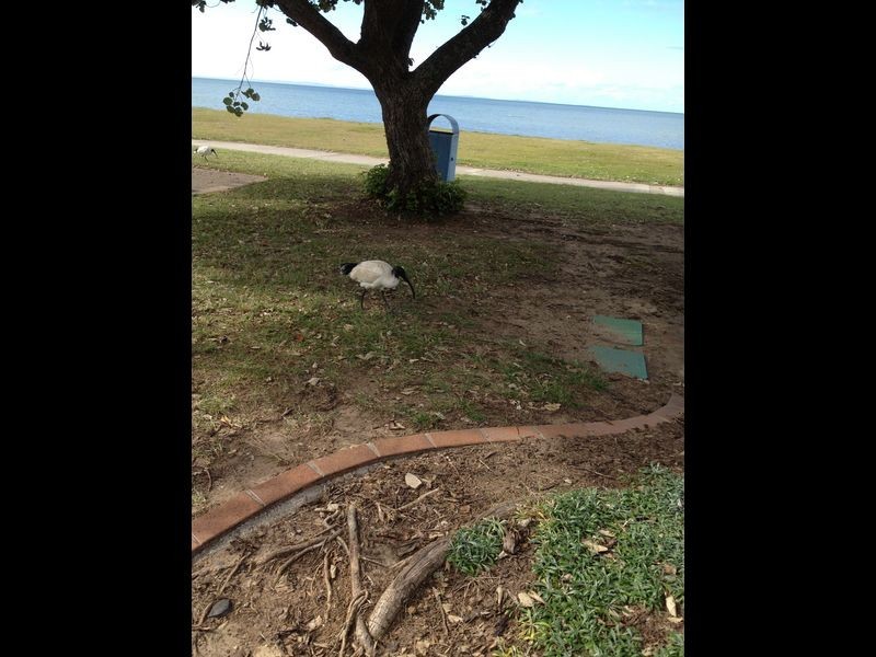 H9/536 BEACONSFIELD TCE, Brighton QLD 4017