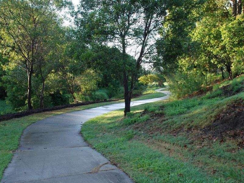 87 Blackberry Street, Mansfield QLD 4122