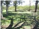 23 Ferndale Street, Lota QLD 4179