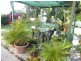 81 Stannard Rd, Manly West QLD 4179