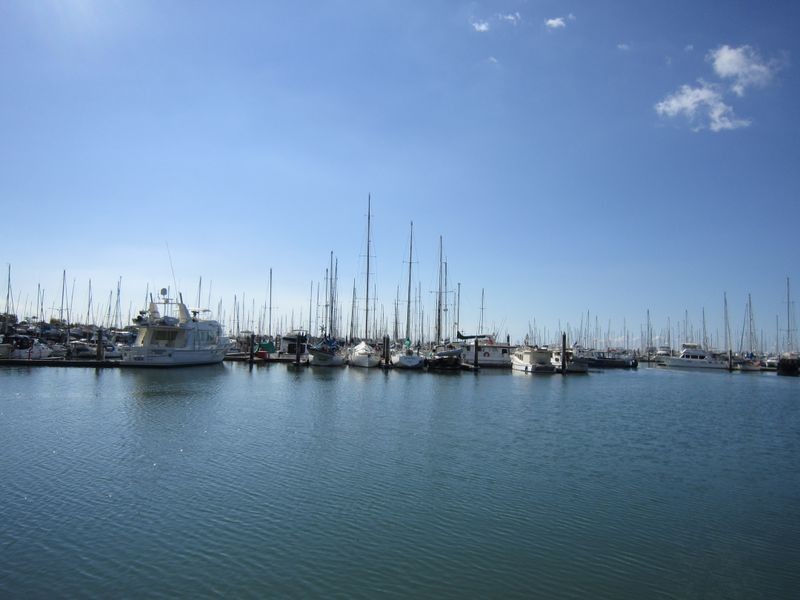 SCHOONER CIRCUIT, Manly West QLD 4179