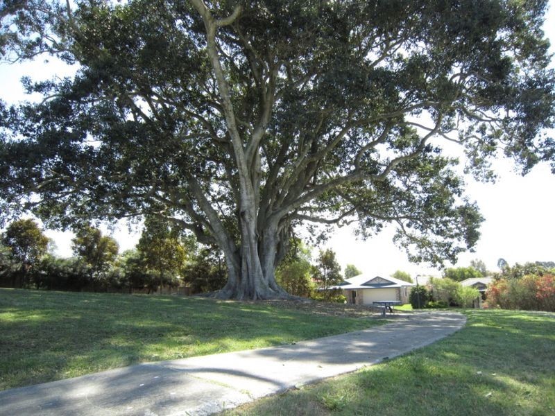 26 Tawonga, Hemmant QLD 4174
