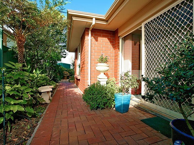 8 Willowood Ct, Mawson Lakes SA 5095