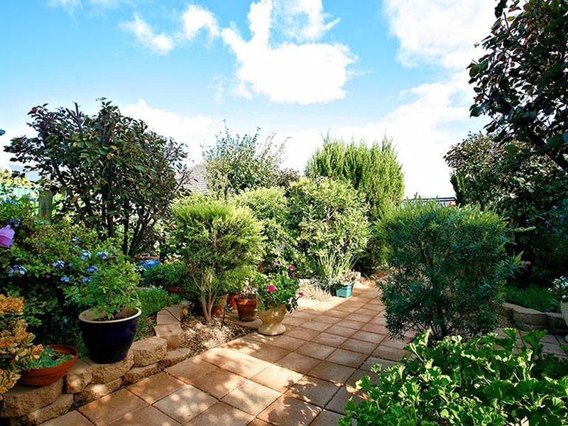 8 Willowood Ct, Mawson Lakes SA 5095