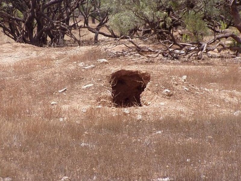 LOT 13 Angaston-Swan Reach Road, Swan Reach SA 5354