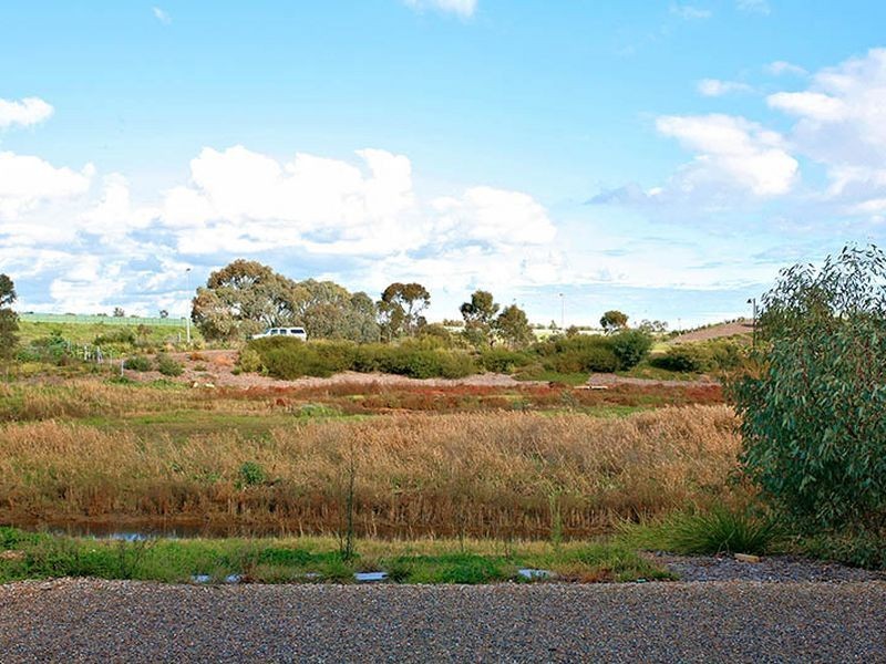 25 Ridley St, Mawson Lakes SA 5095