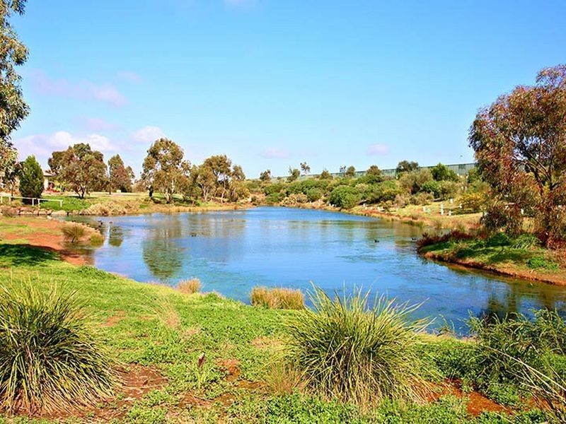 20 Hamilton Pl, Mawson Lakes SA 5095