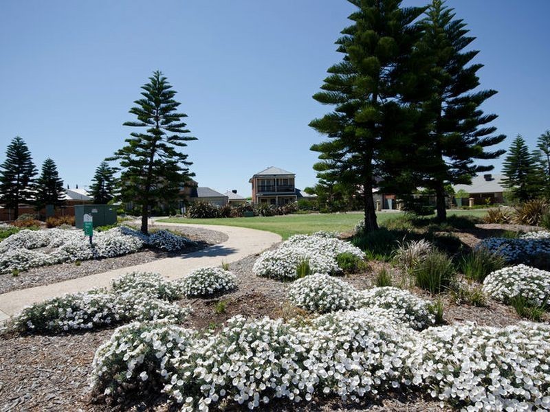 10 Heard Ave, Mawson Lakes SA 5095