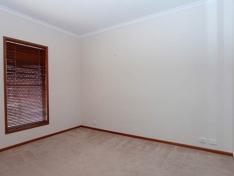 17 Maple Cct, Mawson Lakes SA 5095