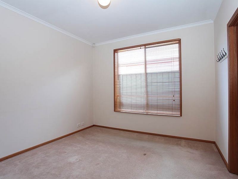 17 Maple Cct, Mawson Lakes SA 5095