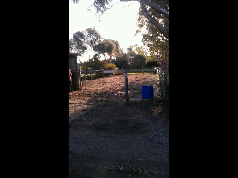 203 Ryans Rd, Globe Derby Park SA 5110