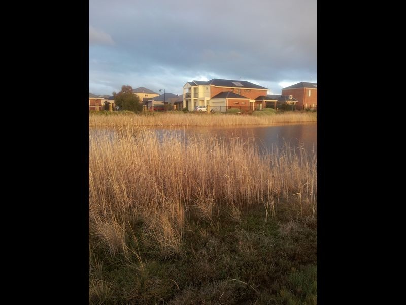 23 Hindmarsh Circuit, Mawson Lakes SA 5095