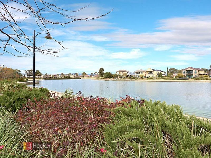 17 Shearwater Dr, Mawson Lakes SA 5095