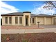 93 Lord Howe Cres, Mawson Lakes SA 5095
