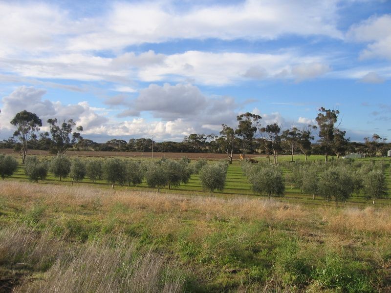 734 Ford Road, Pinery SA 5460